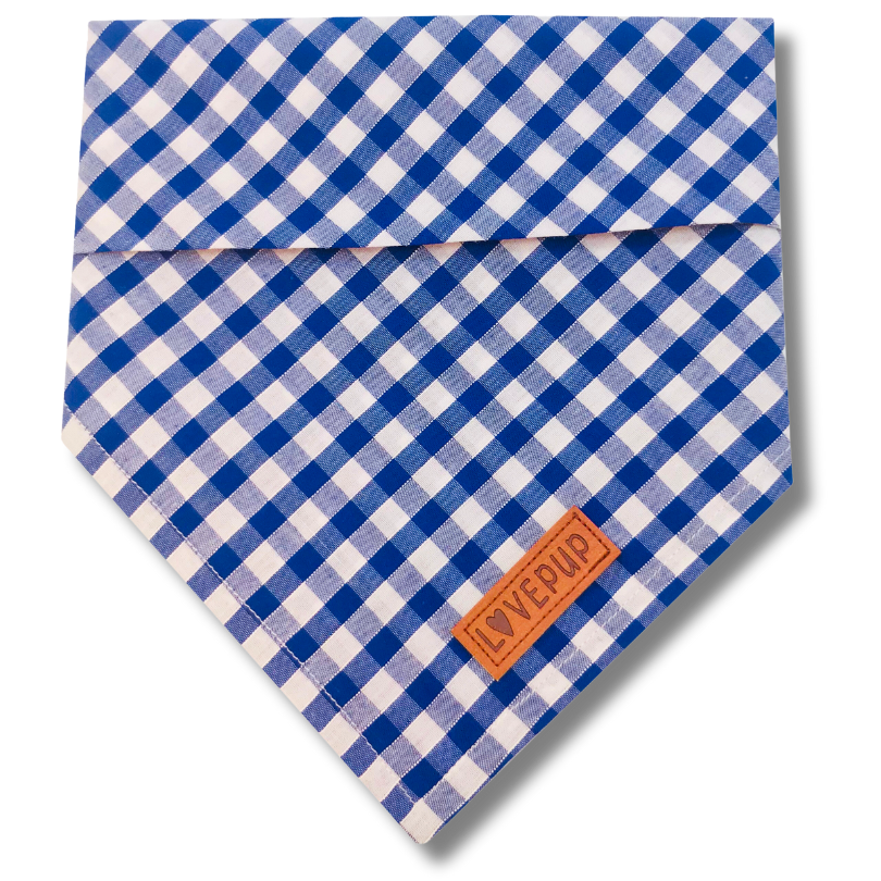 Blue Gingham Bandana – LOVEPUP